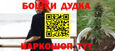 стаф Усть-Илимск