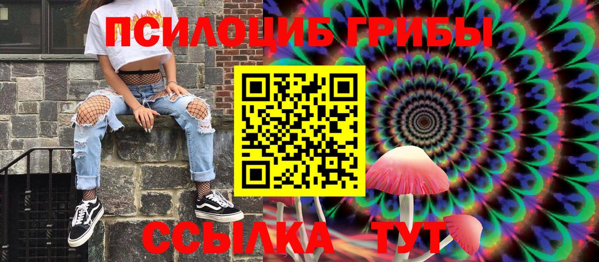 Выкса  даркнет сайт  Вход с VPN  Псилоцибиновые грибы Psilocybine cubensis 